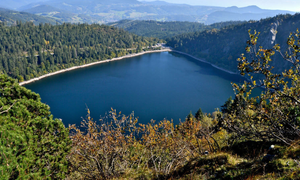 White Lake & Black Lake
